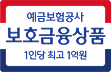 암보험비갱신형